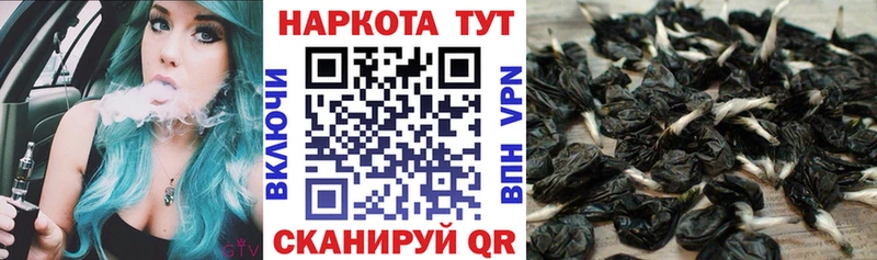 Купить наркотики цена Новотитаровская СК КОКАИН АМФЕТАМИН ГАШИШ Меф