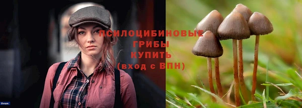 Альфа ПВП Бронницы