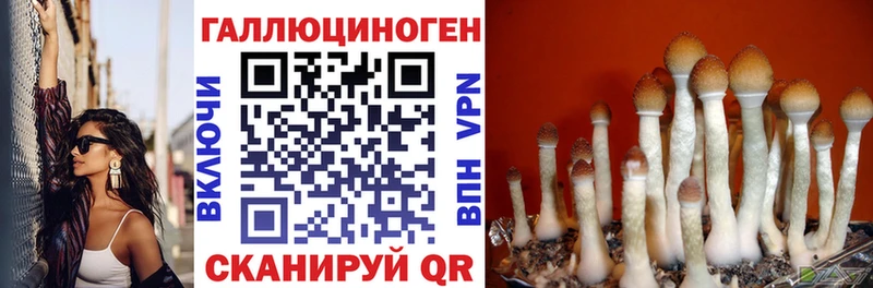 Галлюциногенные грибы мицелий  Новотитаровская 